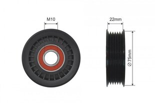 DAUGIAFRIKCINIO DIRŽO ĮTEMPIKLIO SKRIEMULYS HONDA CIVIC 12-15, S2000 99-09, CR-V 11-, JEEP LIBERTY 00-07, DODGE RAM 02-, NITRO - цена и информация | Автопринадлежности | pigu.lt