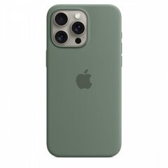 Apple Silicone Case MagSafe MT1X3ZM/A Cypress цена и информация | Чехлы для телефонов | pigu.lt