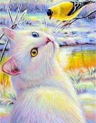 Deimantinė mozaika Balta katė, 30x40 cm kaina ir informacija | Deimantinės mozaikos | pigu.lt