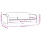 Sofa-lova vidaXL, 90x200 cm, pilka цена и информация | Lovos | pigu.lt
