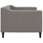Sofa-lova vidaXL, 80x200 cm, ruda цена и информация | Lovos | pigu.lt