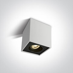 OneLight потолочный светильник Cubes 12105YA/W цена и информация | Потолочные светильники | pigu.lt