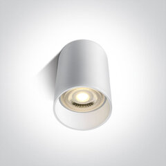 OneLight потолочный светильник Cylinders 12105E/W цена и информация | Потолочные светильники | pigu.lt