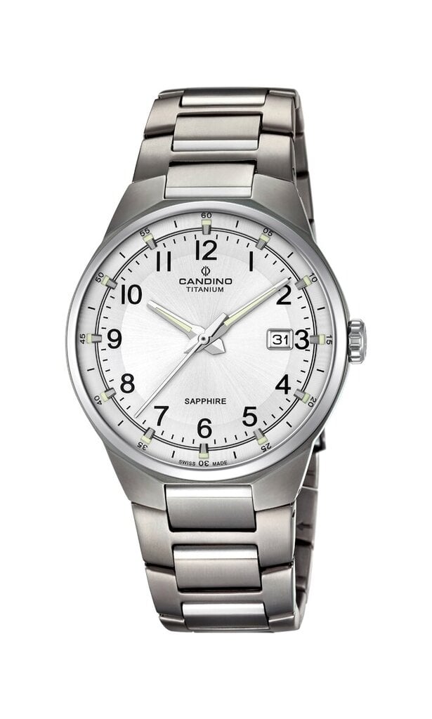 Laikrodis vyrams Candino Titanium C4605/1 kaina ir informacija | Vyriški laikrodžiai | pigu.lt