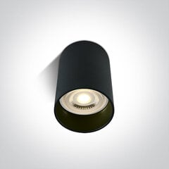 OneLight потолочный светильник Cylinders 12105E/B цена и информация | Потолочные светильники | pigu.lt