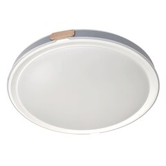 el-2202 led smart ceiling lamp 36w cct dimmable white цена и информация | Монтируемые светильники, светодиодные панели | pigu.lt