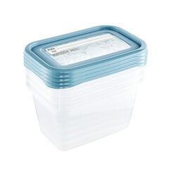 Набор контейнеров для заморозки пищевых продуктов 0,75 л, 4 шт. с этикеткой цена и информация | Посуда для хранения еды | pigu.lt