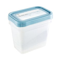 Набор контейнеров для заморозки продуктов 1л, 3 шт с этикеткой цена и информация | Посуда для хранения еды | pigu.lt