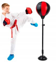 Набор для бокса цена и информация | Игрушки для мальчиков | pigu.lt