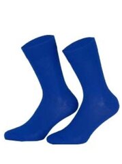 Kojinės vyrams, mėlynos kaina ir informacija | Vyriškos kojinės | pigu.lt