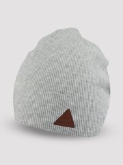 Шляпа  940972 цена и информация | Шапки, перчатки, шарфы для мальчиков | pigu.lt