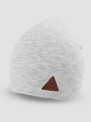 Шляпа  607182 цена и информация | Шапки, перчатки, шарфы для мальчиков | pigu.lt