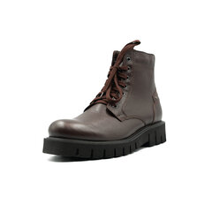 Ботинки мужские Rylko IPSH77G1HC, коричневые цена и информация | Мужские ботинки | pigu.lt