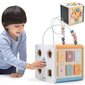 Edukacinis kubas Viga PolarB 8in1 kaina ir informacija | Lavinamieji žaislai | pigu.lt