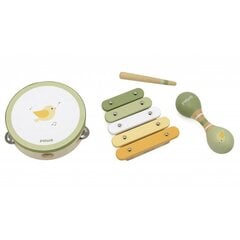 Vaikiški muzikiniai instrumentai Paukštelis Viga PolarB kaina ir informacija | Žaislai kūdikiams | pigu.lt