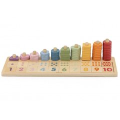 Деревянная сортировочная игра Viga Toys Polarb цена и информация | Развивающие игрушки | pigu.lt