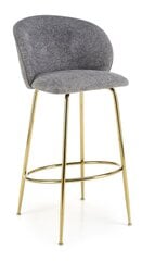 Комплект из 2 стульев H116, серый/золотой цена и информация | Стулья для кухни и столовой | pigu.lt