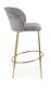 2-ių kėdžių komplektas H116, pilkas/auksinis kaina ir informacija | Virtuvės ir valgomojo kėdės | pigu.lt