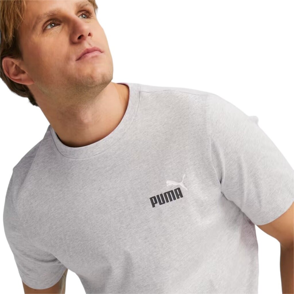 Puma marškinėliai vyrams 82329, pilki kaina ir informacija | Vyriški marškinėliai | pigu.lt