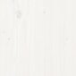Medinis lovelis, 101x30x69cm, baltas kaina ir informacija | Loveliai | pigu.lt