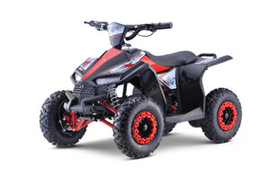 Квадроцикл 48 В Electric 1000 Вт Quad Bike Highper до 35 км/ч, красный цена и информация | Электромобили для детей | pigu.lt