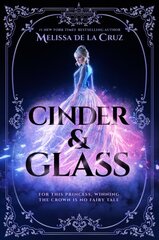 Cinder & Glass цена и информация | Книги для подростков и молодежи | pigu.lt