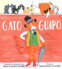 Gato Guapo цена и информация | Книги для подростков  | pigu.lt