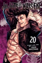 Jujutsu Kaisen, Vol. 20 цена и информация | Fantastinės, mistinės knygos | pigu.lt