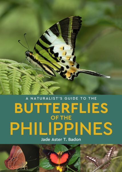Naturalist's Guide to the Butterflies of the Philippines kaina ir informacija | Knygos apie sveiką gyvenseną ir mitybą | pigu.lt