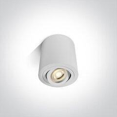 OneLight потолочный светильник Round 12105AB/W цена и информация | Потолочные светильники | pigu.lt