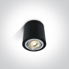 OneLight потолочный светильник Round 12105AB/B цена и информация | Потолочные светильники | pigu.lt