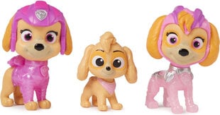 Figūrėlių rinkinys Paw Patrol Dog Skye Pink Puppy цена и информация | Игрушки для мальчиков | pigu.lt