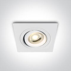 OneLight потолочный светильник Ring Range 51105ABG/W цена и информация | Потолочные светильники | pigu.lt