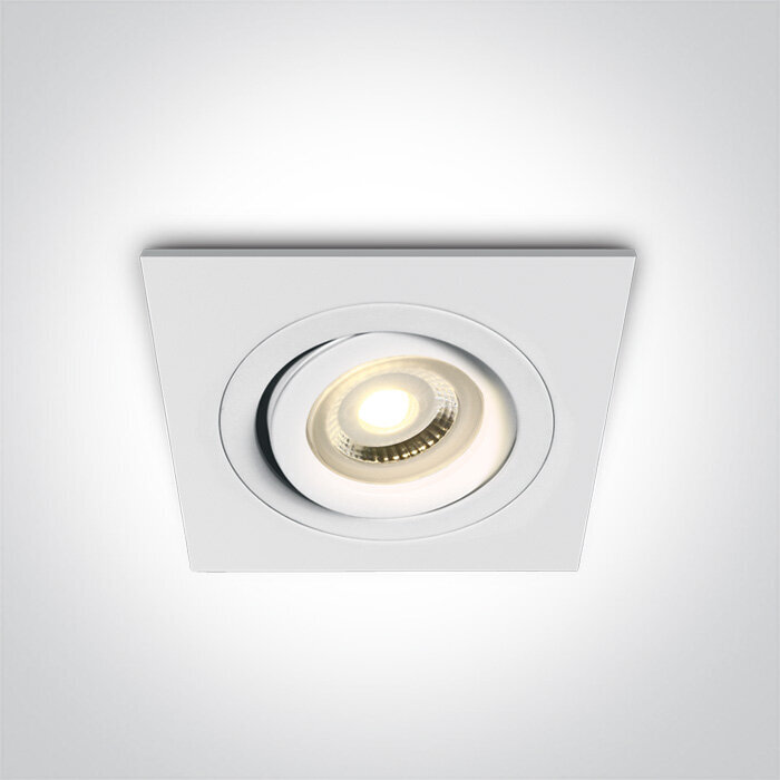 ONELight lubinis šviestuvas Ring Range 51105ABG/W kaina ir informacija | Lubiniai šviestuvai | pigu.lt