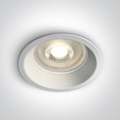 OneLight потолочный светильник Range 10105D1/W цена и информация | Потолочные светильники | pigu.lt