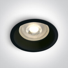 OneLight потолочный светильник Range 10105D1/B цена и информация | Потолочные светильники | pigu.lt