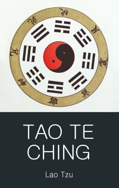 Tao Te Ching kaina ir informacija | Klasika | pigu.lt