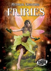 Fairies цена и информация | Книги для подростков и молодежи | pigu.lt