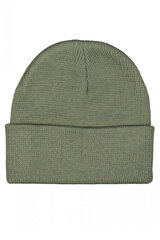 Зимняя шапка LEE 112339001, зелёная цена и информация | Мужские шарфы, шапки, перчатки | pigu.lt