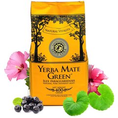 Yerba Mate Green arbata Gotu cola, 400 g kaina ir informacija | Arbata | pigu.lt