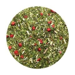 Yerba Mate Green arbata Fresa Frutilla, 50 g kaina ir informacija | Arbata | pigu.lt