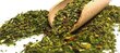 Yerba Mate Green arbata Cactus, 50 g kaina ir informacija | Arbata | pigu.lt