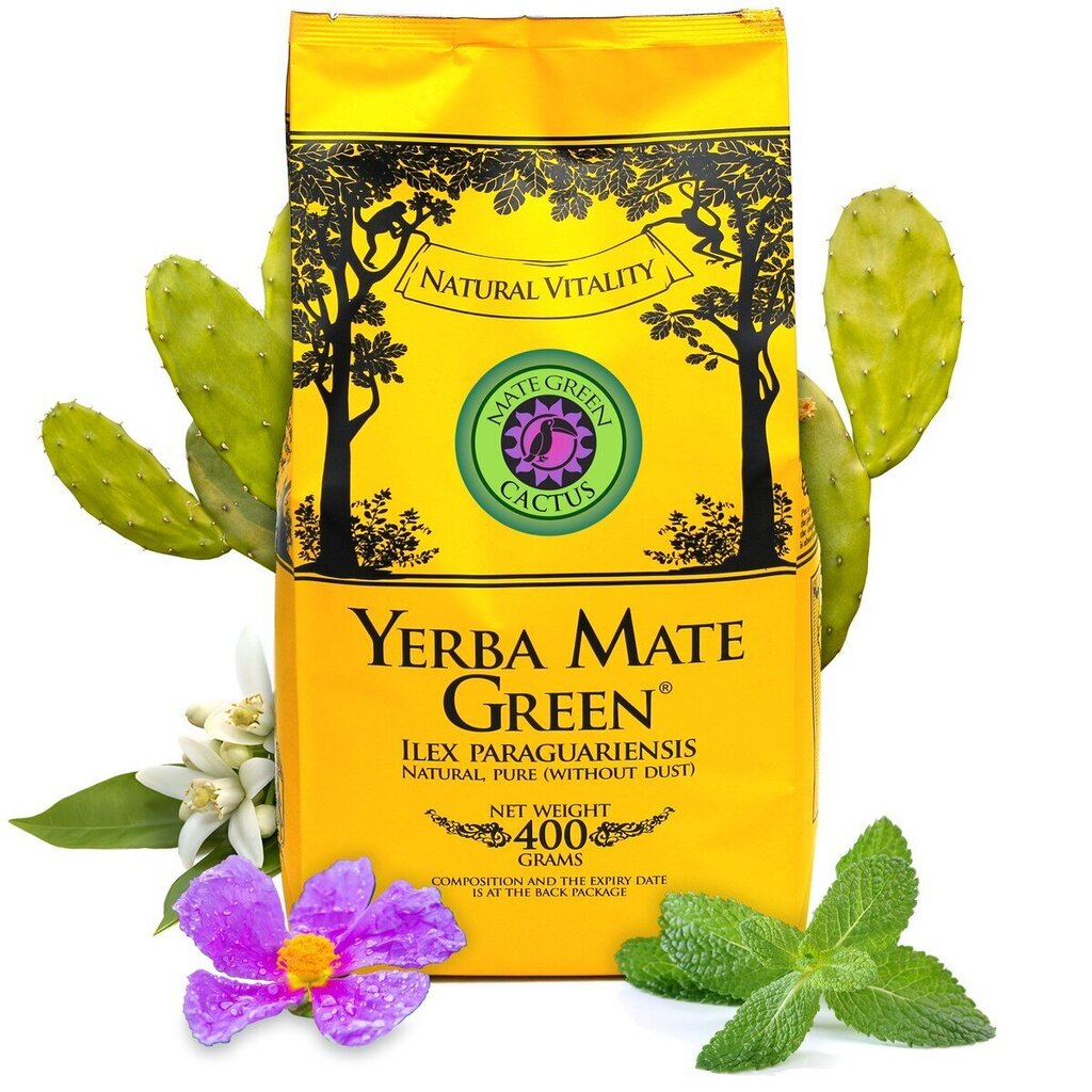 Yerba Mate Green arbata Cactus, 400 g kaina ir informacija | Arbata | pigu.lt