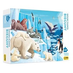 Dėlionė su meškomis Wilga Play, 98671, 220 d. kaina ir informacija | Dėlionės (puzzle) | pigu.lt