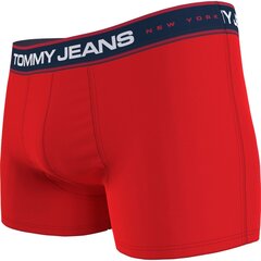 Trumpikės vyrams Tommy Hilfiger Jeans 82176, įvairių spalvų, 3vnt. цена и информация | Мужские трусы | pigu.lt