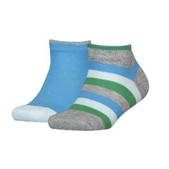 Tommy Hilfiger kojinės berniukams 82229, mėlynos, 2 poros цена и информация | Носки, колготки для мальчиков | pigu.lt