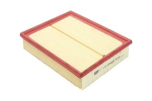 Oro filtro kasetė Borsehung GmbH 58133843, 1 vnt. цена и информация | Автопринадлежности | pigu.lt