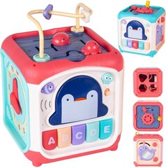 Lavinamasis kubas su garsu Pingvinas цена и информация | Игрушки для малышей | pigu.lt