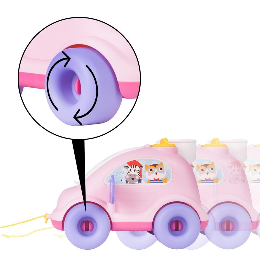Edukacinis žaislas kūdikiams Mašina-rūšiuoklis MalPlay kaina ir informacija | Žaislai kūdikiams | pigu.lt