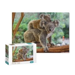 Dėlionė koalos Dodo, 1000 d. kaina ir informacija | Dėlionės (puzzle) | pigu.lt